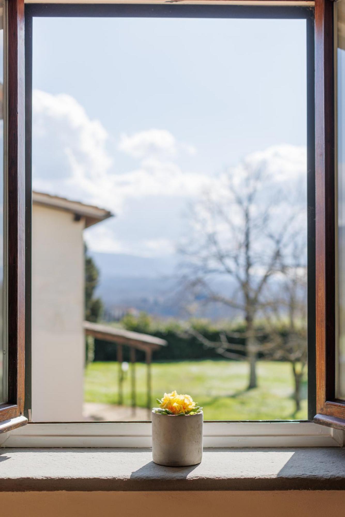 Fattoria Pagnana & Pool